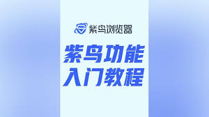 紫鸟浏览器官方正版下载，紫鸟浏览器有什么用
